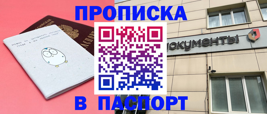 временная регистрация для всех в Опочке